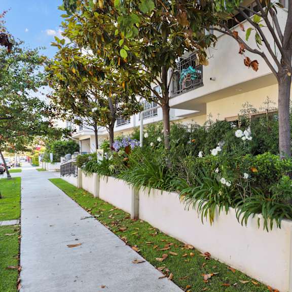 a white wall with plants in front of a building