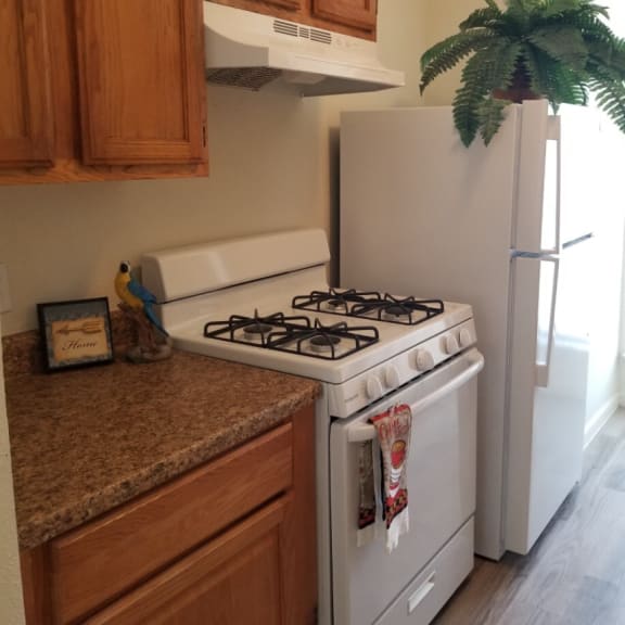 a kitchen with a stove and a refrigerator