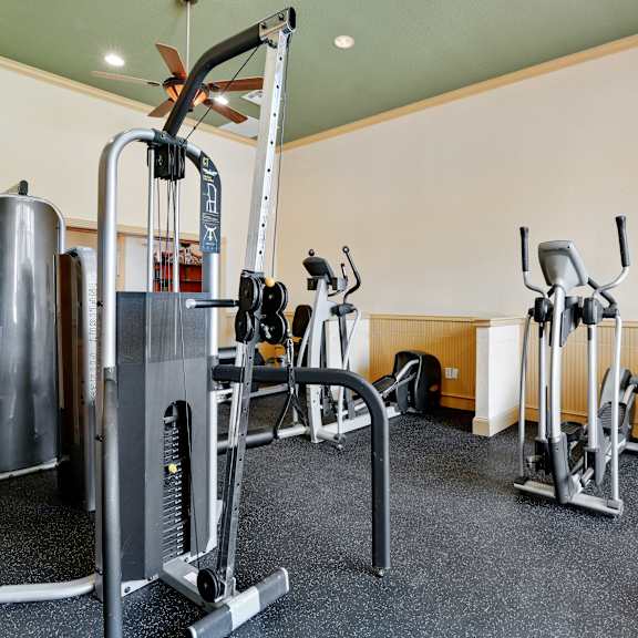 a gym with a variety of equipment including a treadmill, a stationary bike, and a weight machine.