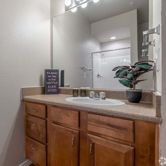 a bathroom with a sink, mirror, and wooden cabinets.