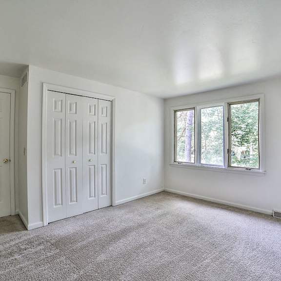 294 little robin road