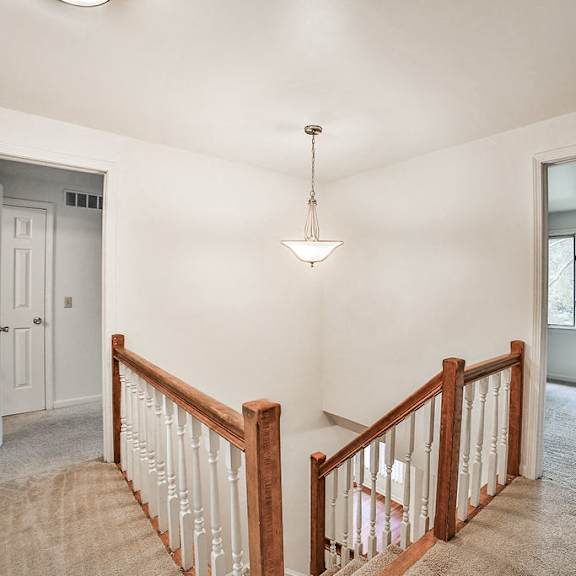 294 little robin road