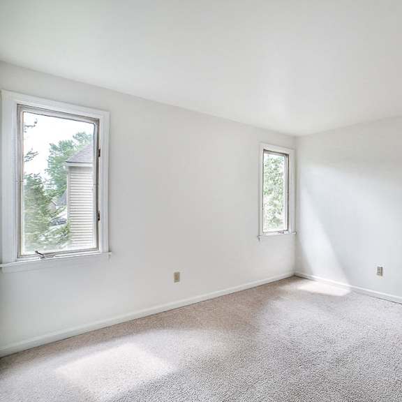 294 little robin road