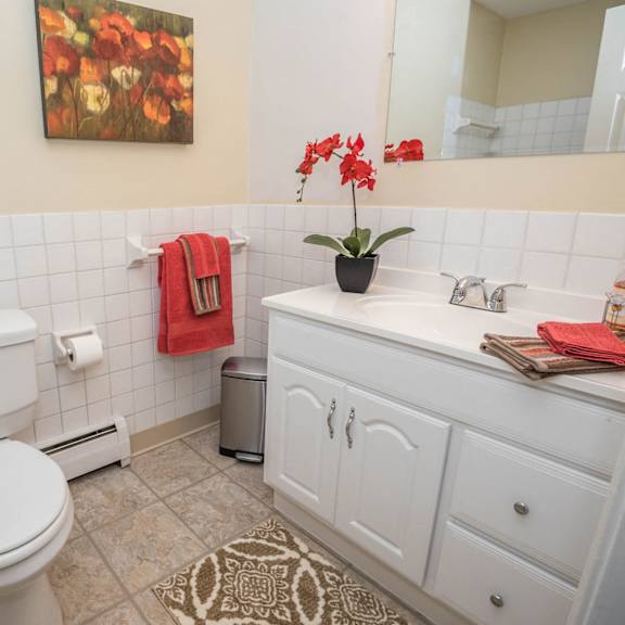 olde towne village apartments – bathroom – appliances included - 24 hour emergency maintenance – ask for a tour - pet friendly