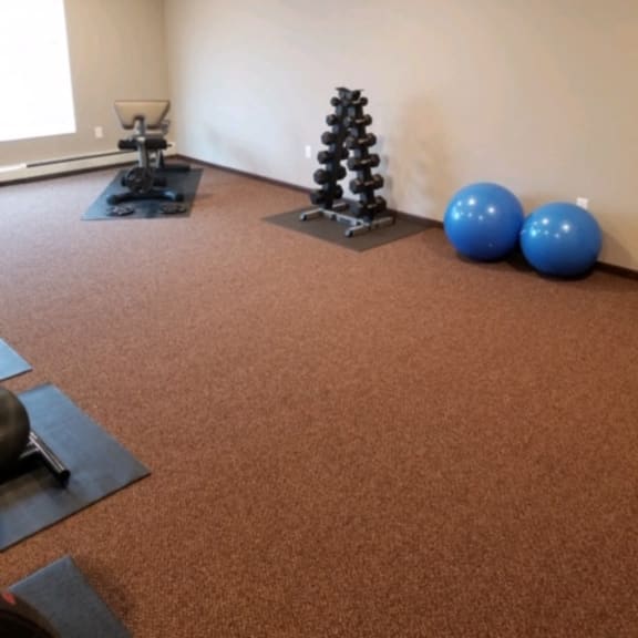 fitness area