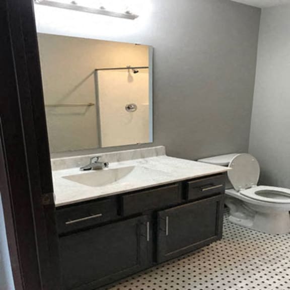 bathroom with dark brown vanity