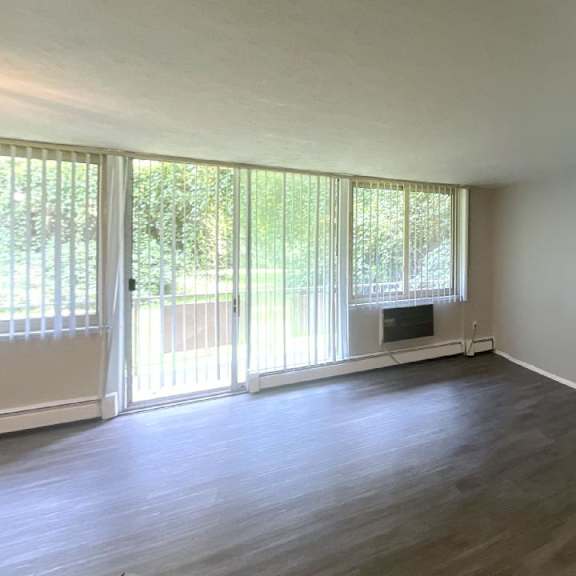 1 bedroom 1 bath living room