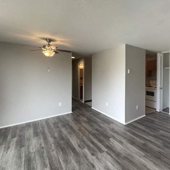 2 bedroom 1bath living / dining