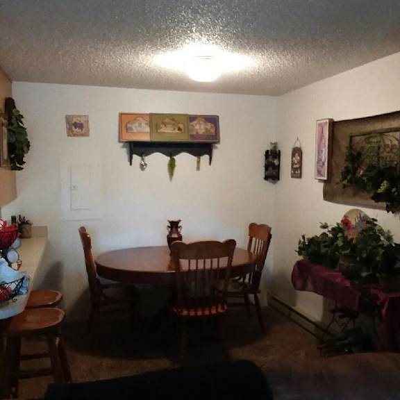 dining area photo