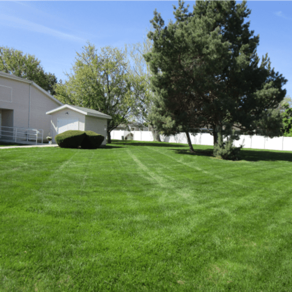 louise garden north yard