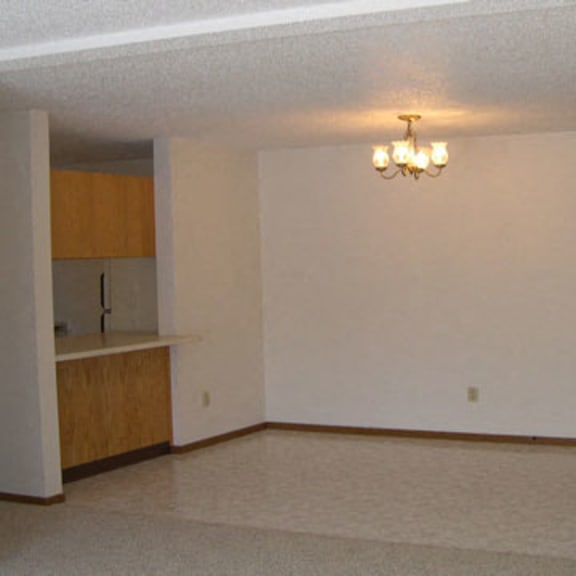 dinning room area