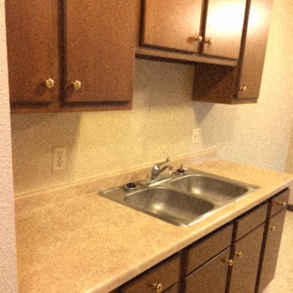 kitchen with dark cupboard
