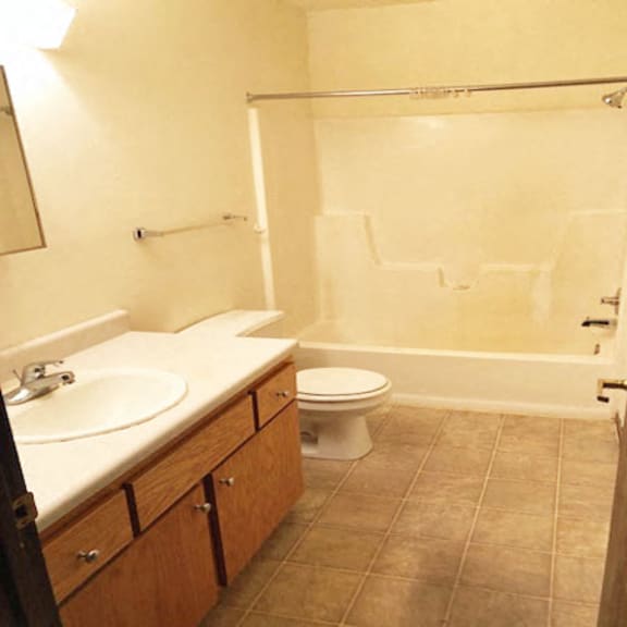 bathroom with vanity, toilet and shower
