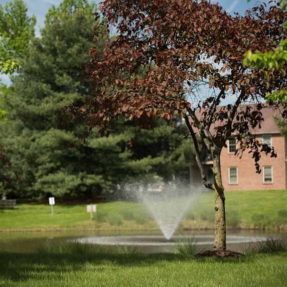 a lovely green space with trees, lush grass, and a pond with a fountain in the center near severgn apartments.