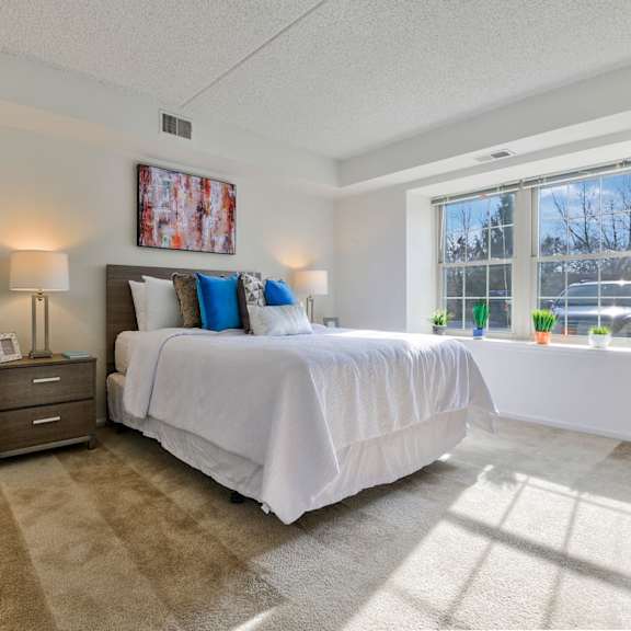 a bedroom with carpet flooring and a large window providing ample natural light.