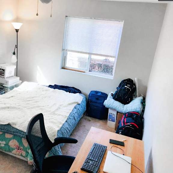 bedroom 2 with tons of natural light