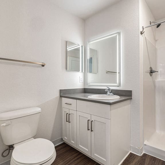 Thumbnail 17 of 17 Second bathroom with walk in shower at Eagle Ridge Apartment Homes, Traverse City, MI