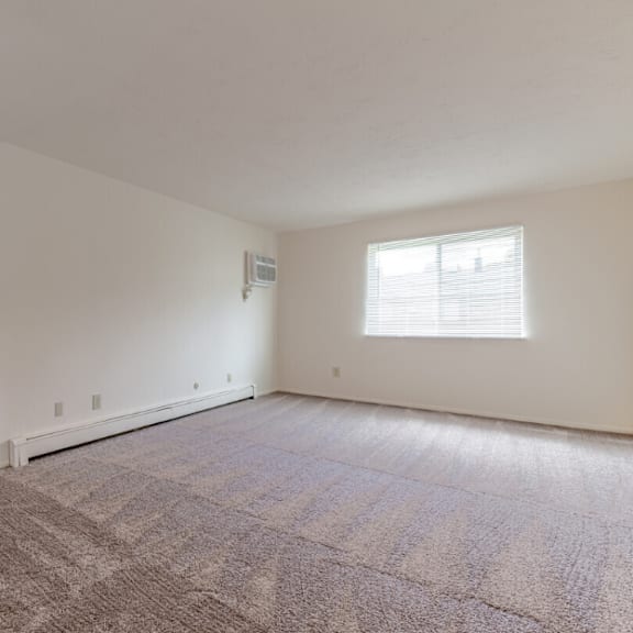 an empty living room with carpet and a window