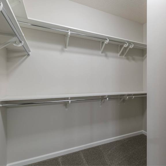 a white closet with a white door and a grey carpet.