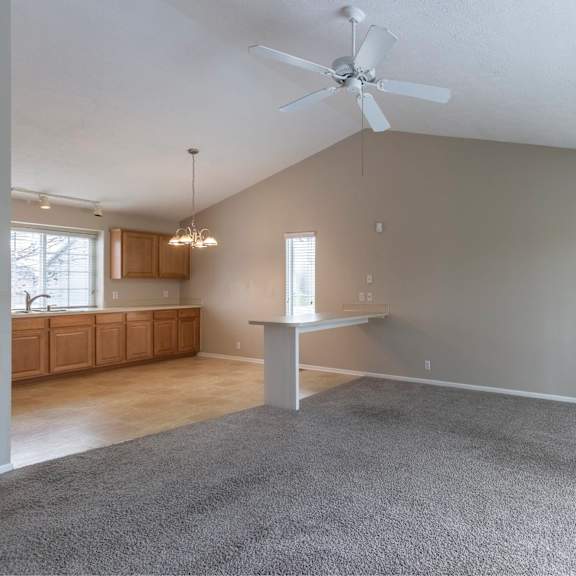 a spacious room with a grey carpet and a ceiling fan.