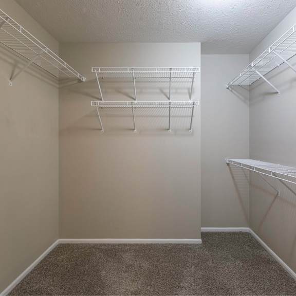 empty walk-in closet with white shelving.