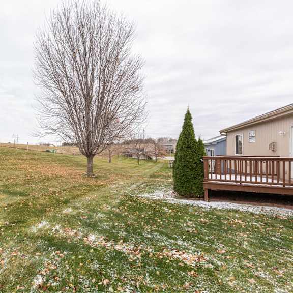 a leafless tree stands in a grassy field with a house in the background.