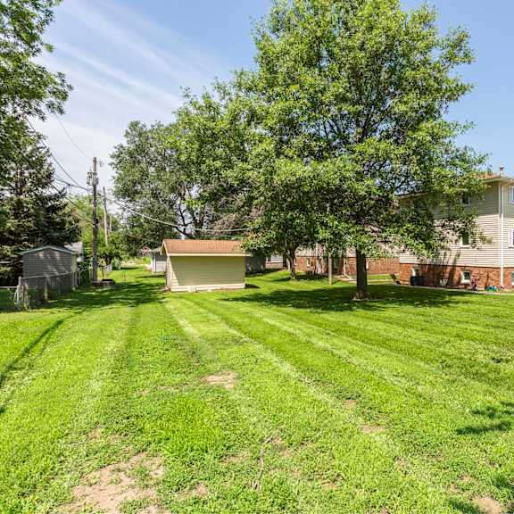 a grassy area with a tree and a house in the background.