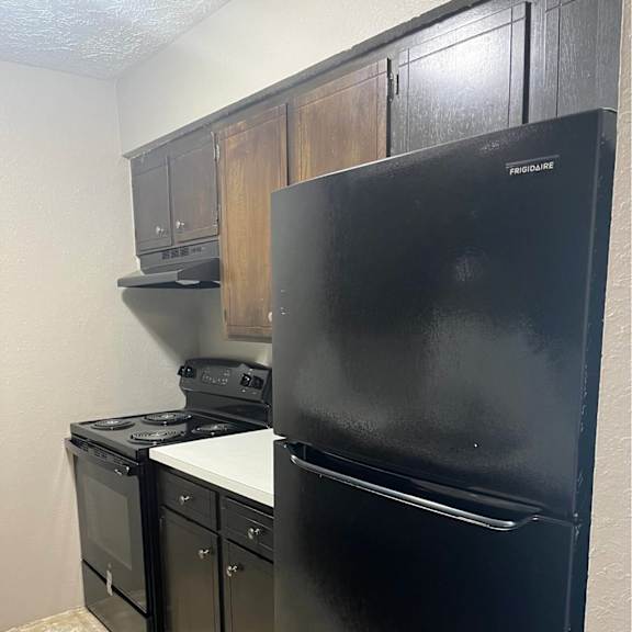 a black fridge in a kitchen with a black oven and black cabinets.
