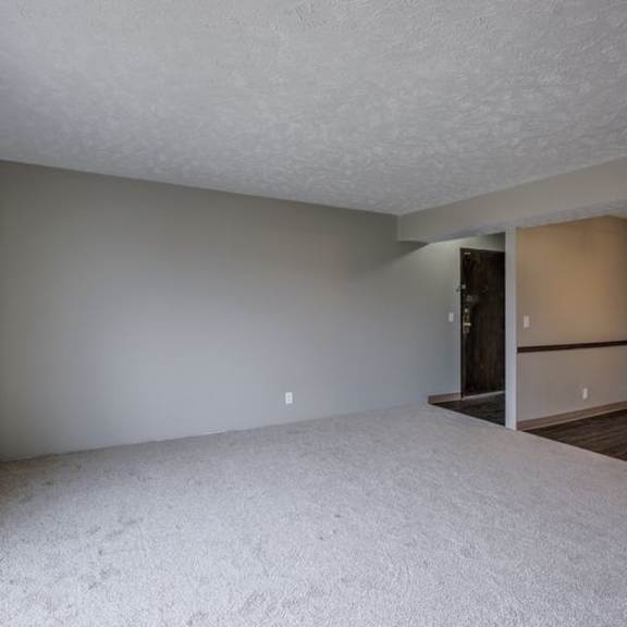 a room with a white carpet and a door on the right side.