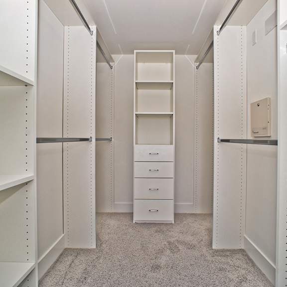 master bedroom with walk-in closet with built-in organizers