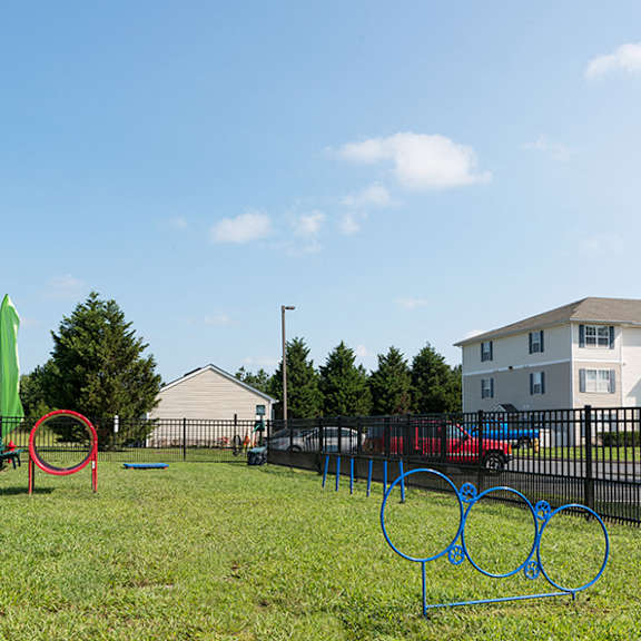 bark park