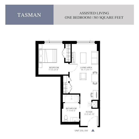 Thumbnail 1 of 2 Tasman