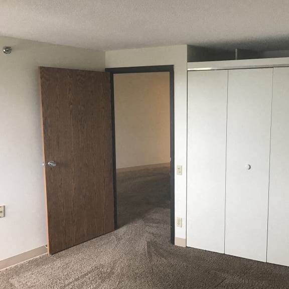 bedroom with large closet
