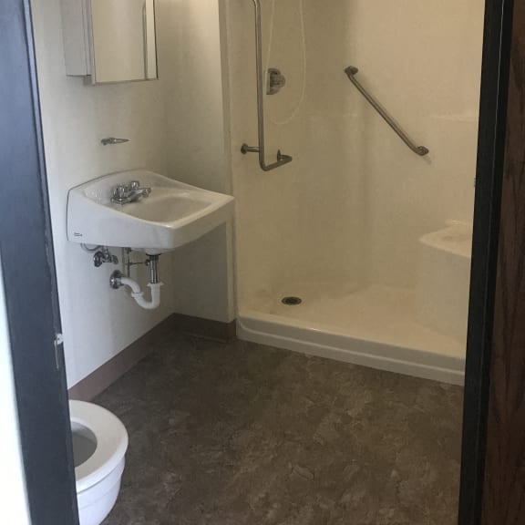 handicap accessible bathroom and shower