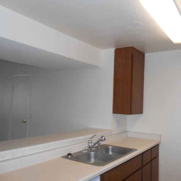 a kitchen with a sink and cabinets.