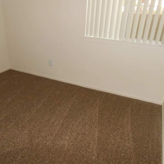 a room with a brown carpet and a window with blinds.