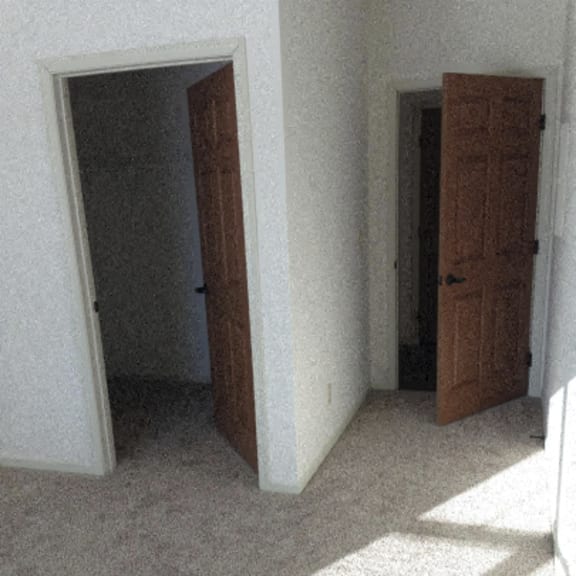 bedroom with large walk in closet