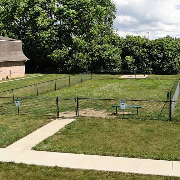 dog park