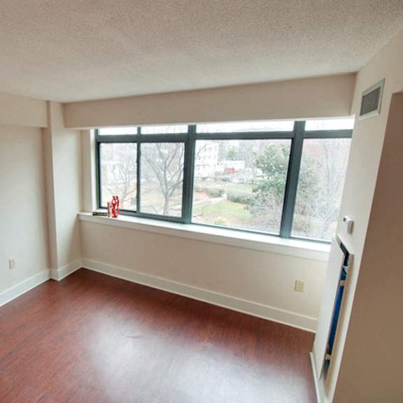 large, sunny windows
