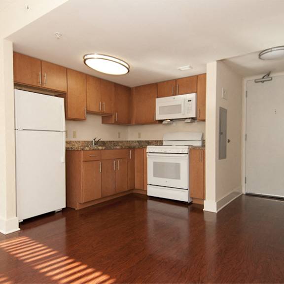 1 bedroom apartment- kitchen