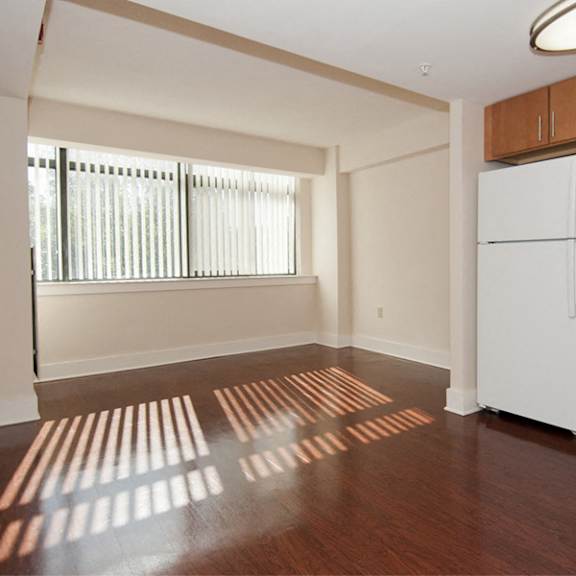 1 bedroom apartment- living room