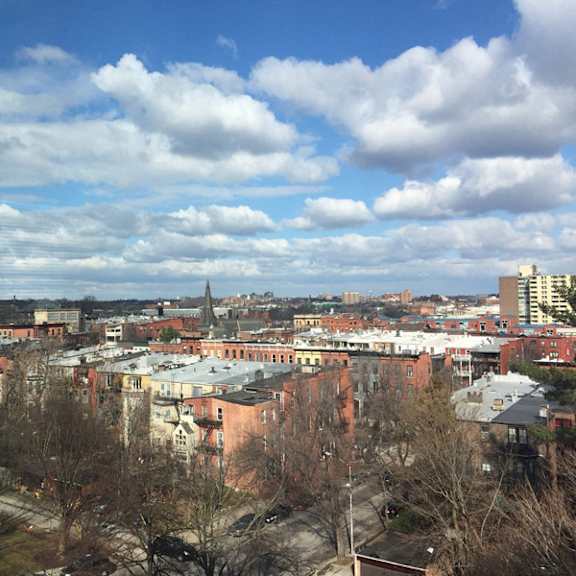 linden park apartments view