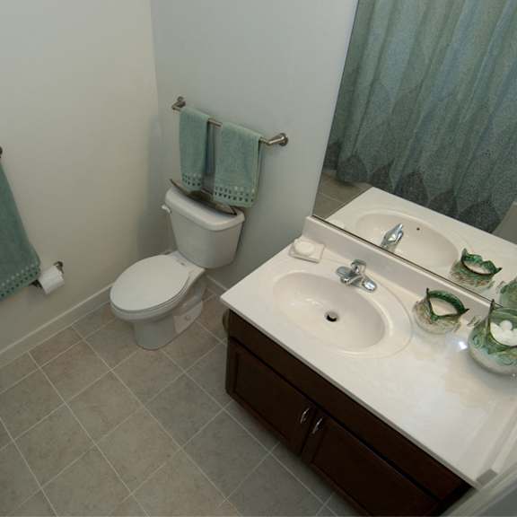 riverwoods at tollgate bathroom