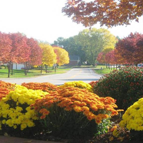 beautiful surroundings at ridgeview highlands apartments & townhomes,54911