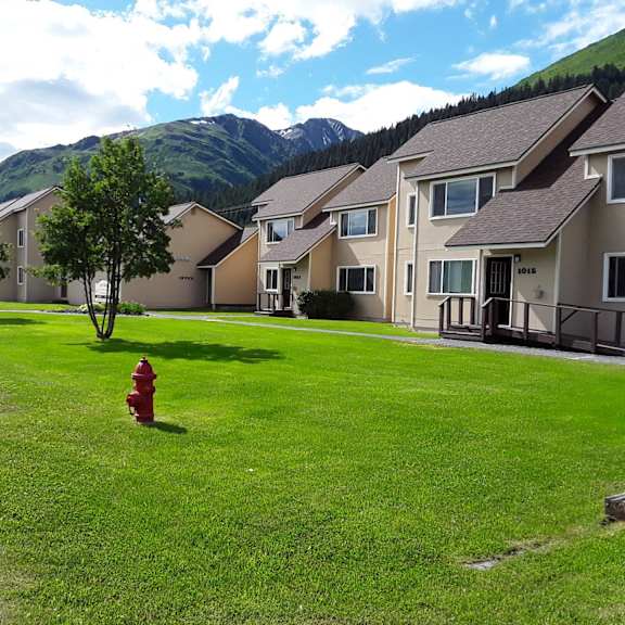 lawn with trees