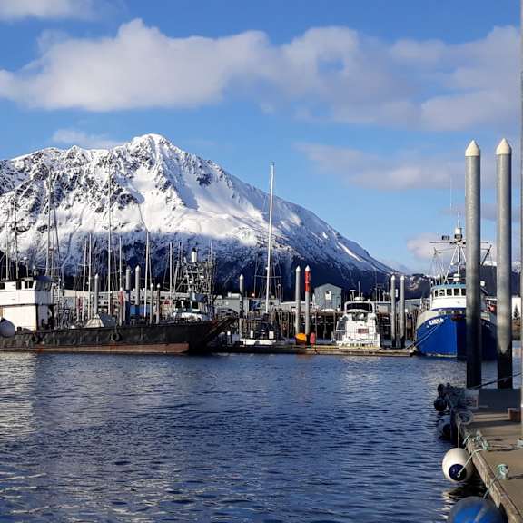 seward bay