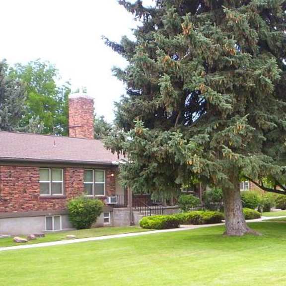 college park lawn and mature trees
