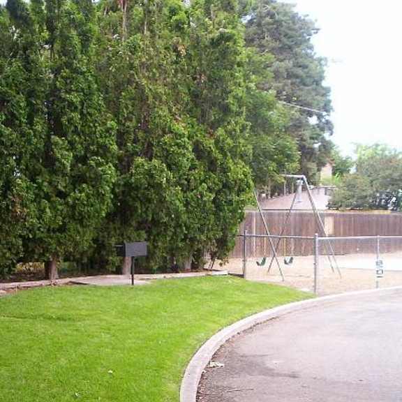 bbq area