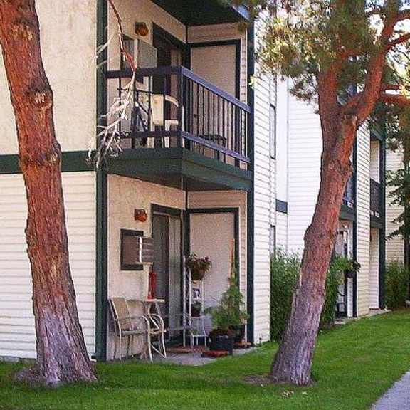 patios with mature trees