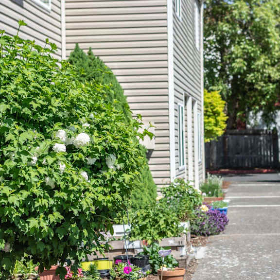 landscaping and parking